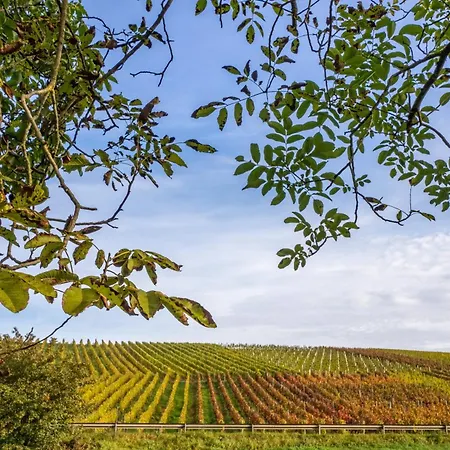 Konukevi Fata Morgana Cochem