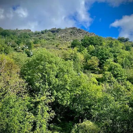 Fata Morgana 招待所