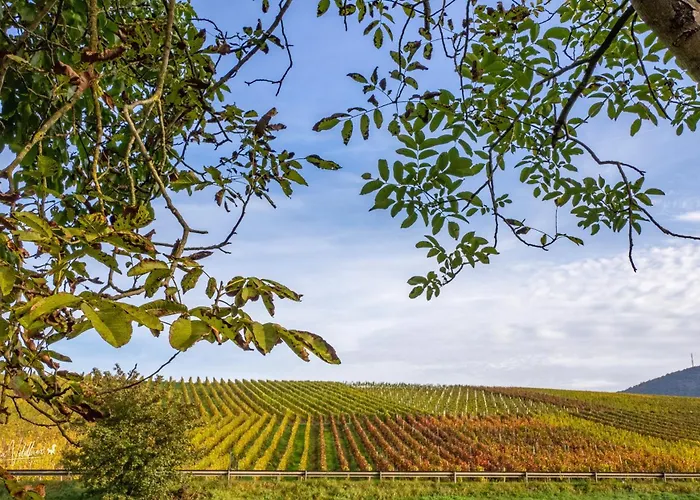 Konukevi Fata Morgana Cochem